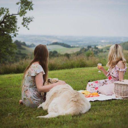 Skrzydlna Blizej Nieba Bed & Breakfast エクステリア 写真