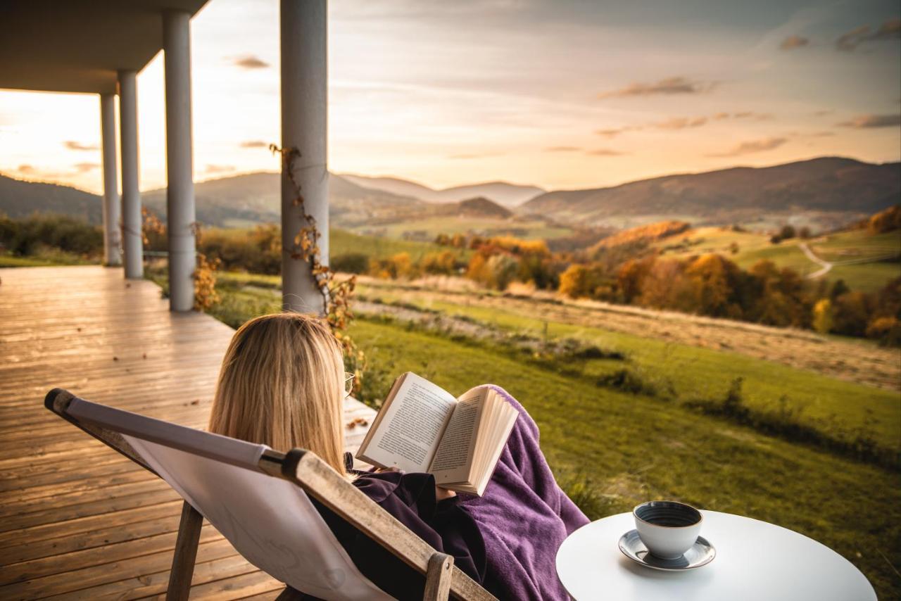 Skrzydlna Blizej Nieba Bed & Breakfast エクステリア 写真