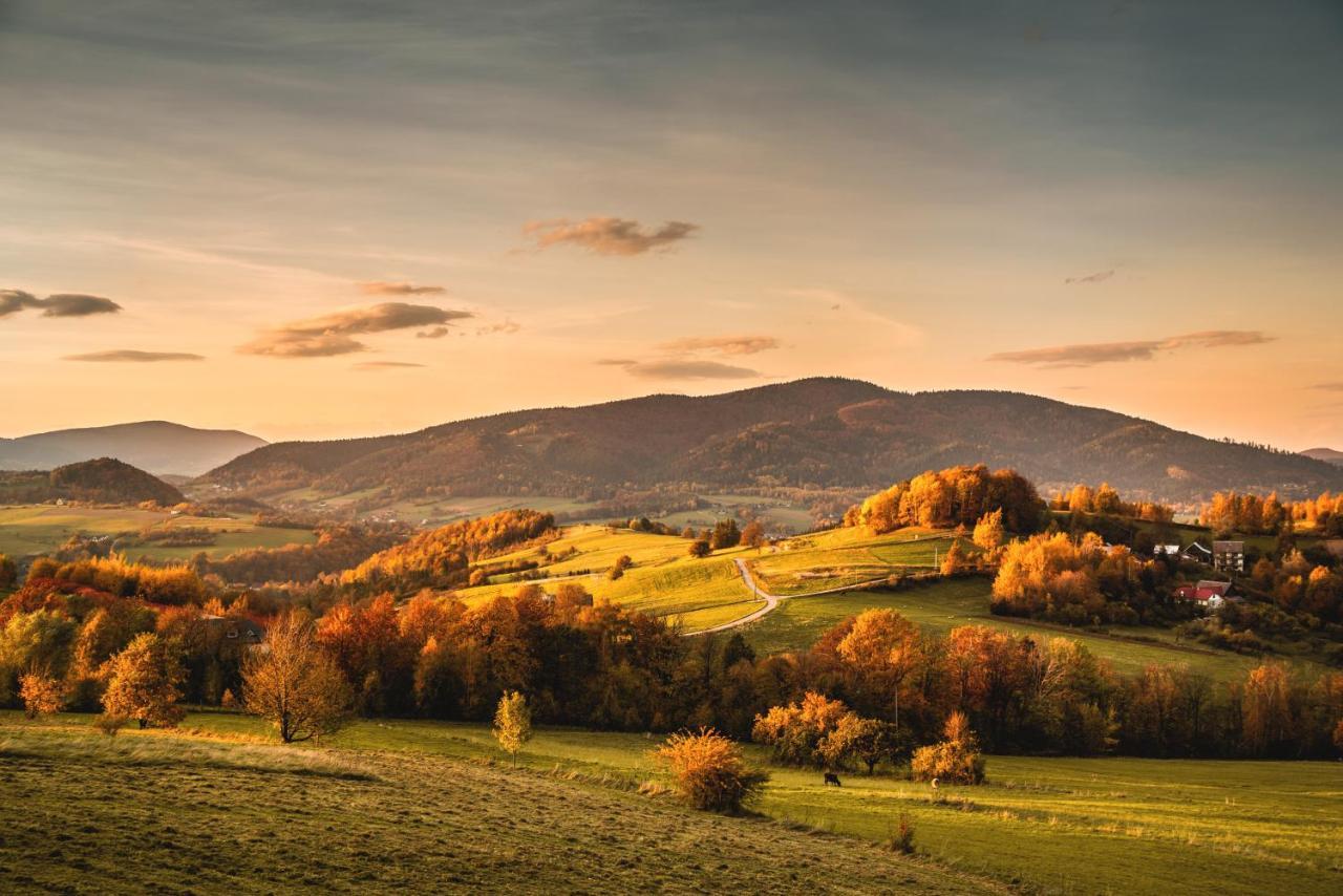 Skrzydlna Blizej Nieba Bed & Breakfast エクステリア 写真