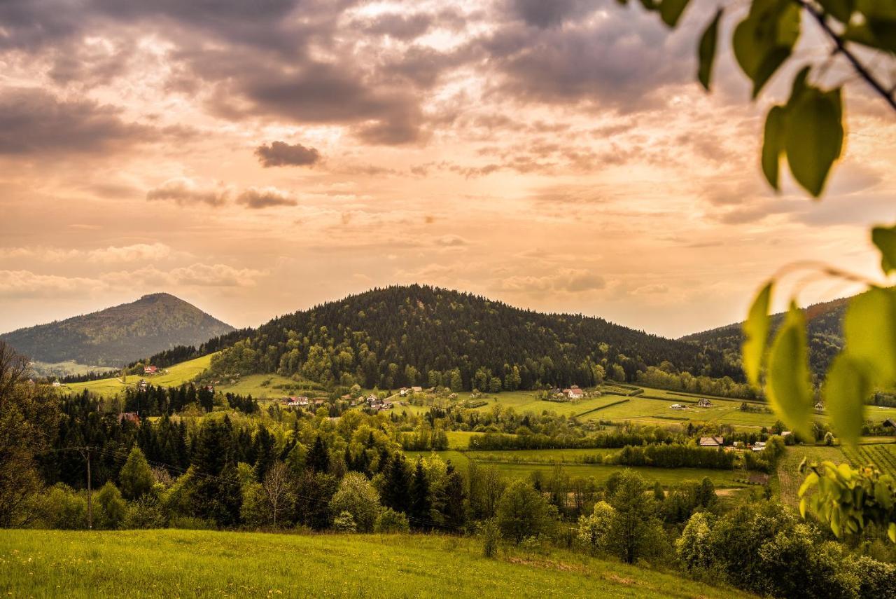 Skrzydlna Blizej Nieba Bed & Breakfast エクステリア 写真