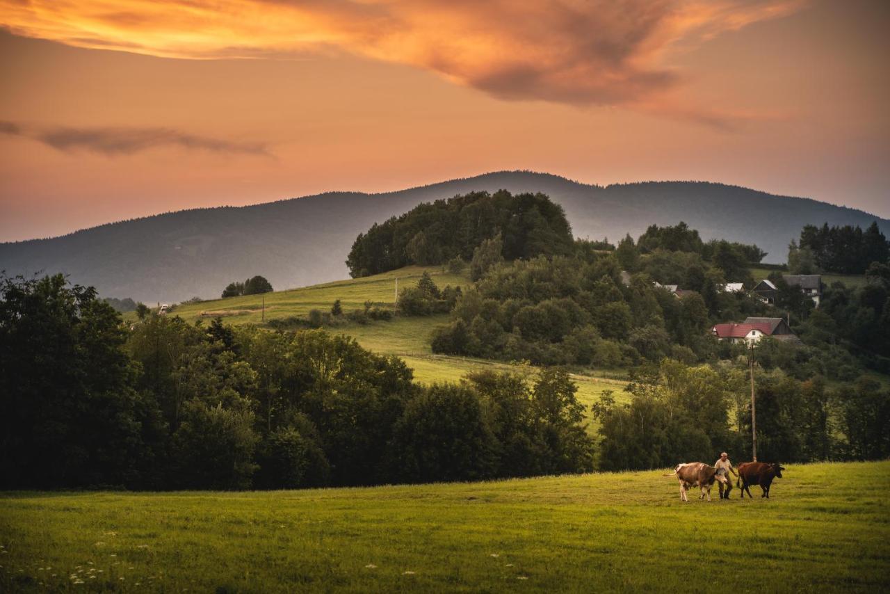 Skrzydlna Blizej Nieba Bed & Breakfast エクステリア 写真