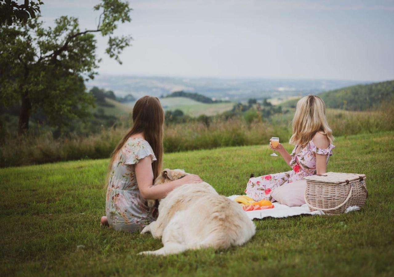 Skrzydlna Blizej Nieba Bed & Breakfast エクステリア 写真